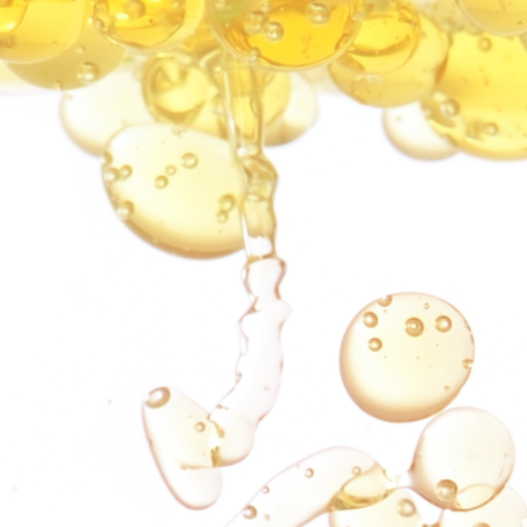 스크린샷 2024-12-07 오후 9.25. 복사본